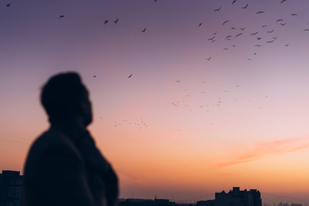A person gazes at a flock of birds flying across a pastel-colored sunset sky, evoking a sense of peace, reflection, and emotional release.